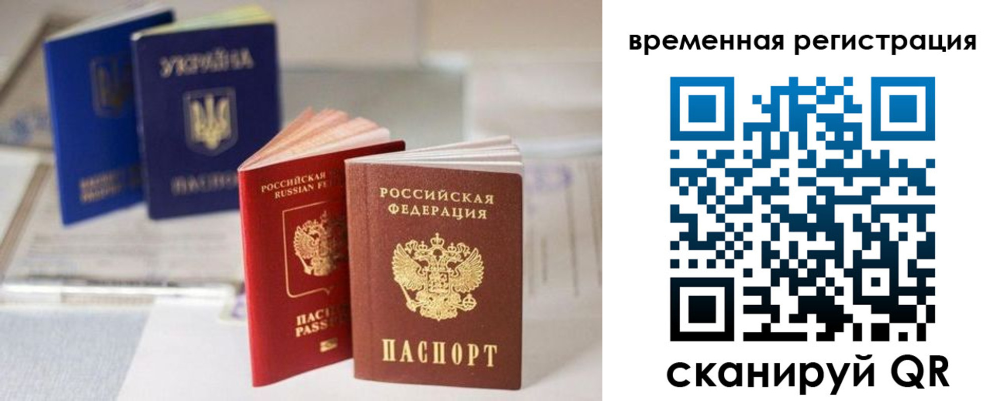 прописка поиск в Владимире
